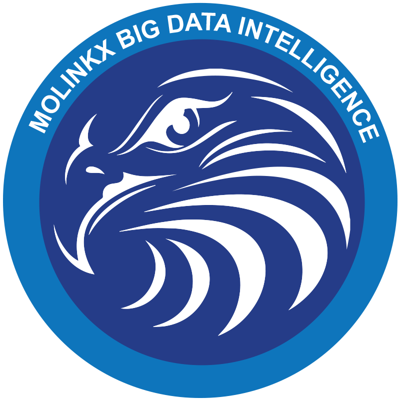 MOLINKX logo